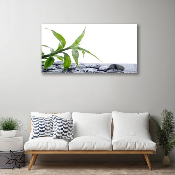 Skleneny obraz List príroda kamene rastlina 100x50 cm 2 Prívesky
