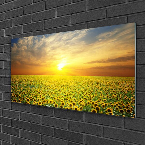 Skleneny obraz Slnko lúka slnečnica 100x50 cm 2 Prívesky