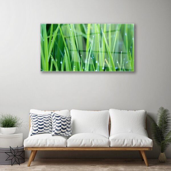 Skleneny obraz Tráva kvapky rastlina príroda 100x50 cm 2 Prívesky
