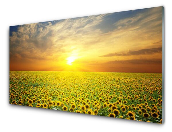 Sklenený obklad Do kuchyne Slnko lúka slnečnica 120x60 cm