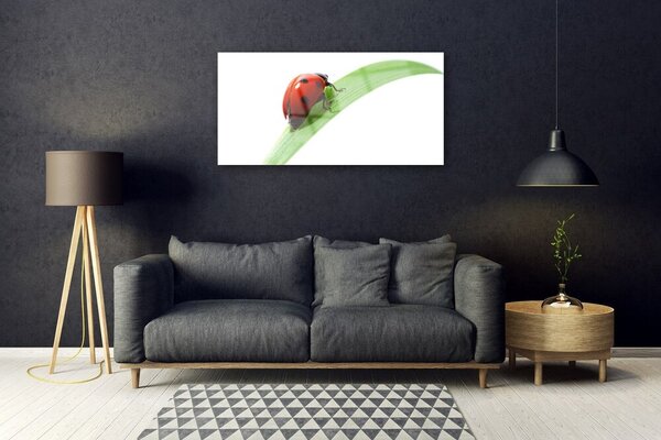 Skleneny obraz Lienka list príroda 100x50 cm 2 Prívesky