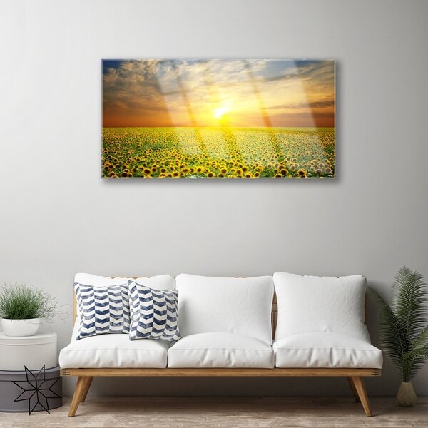 Skleneny obraz Slnko lúka slnečnica 100x50 cm 2 Prívesky