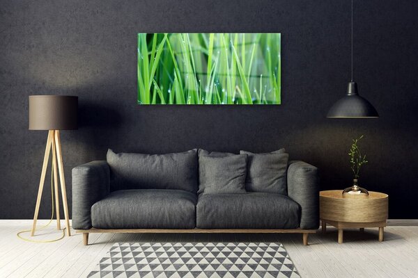 Skleneny obraz Tráva kvapky rastlina príroda 100x50 cm 2 Prívesky