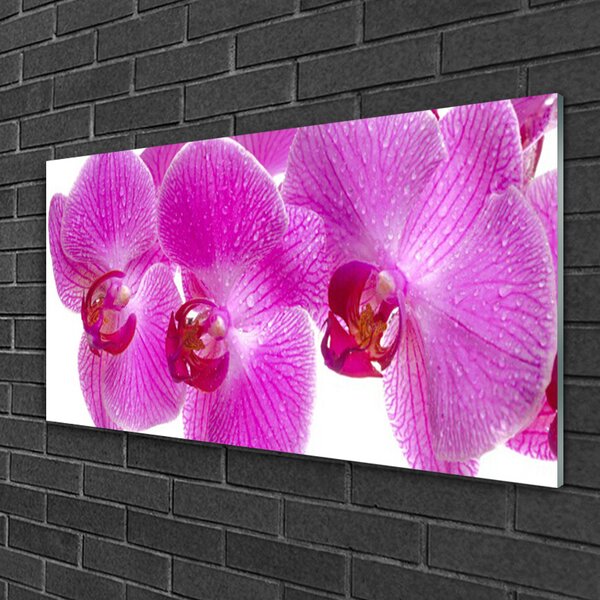 Skleneny obraz Kvety rastlina príroda 100x50 cm 2 Prívesky