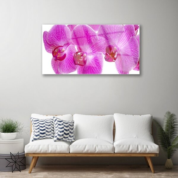 Skleneny obraz Kvety rastlina príroda 100x50 cm 2 Prívesky