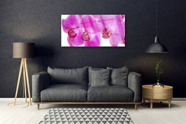Skleneny obraz Kvety rastlina príroda 100x50 cm 2 Prívesky