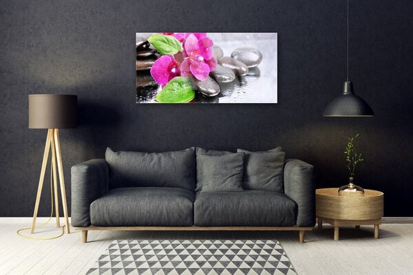 Skleneny obraz Kvet kamene rastlina 100x50 cm 2 Prívesky