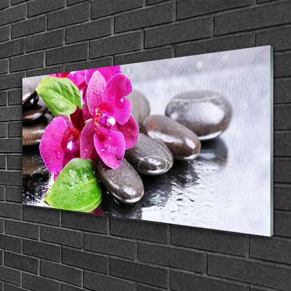 Skleneny obraz Kvet kamene rastlina 100x50 cm 2 Prívesky
