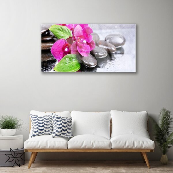 Skleneny obraz Kvet kamene rastlina 100x50 cm 2 Prívesky