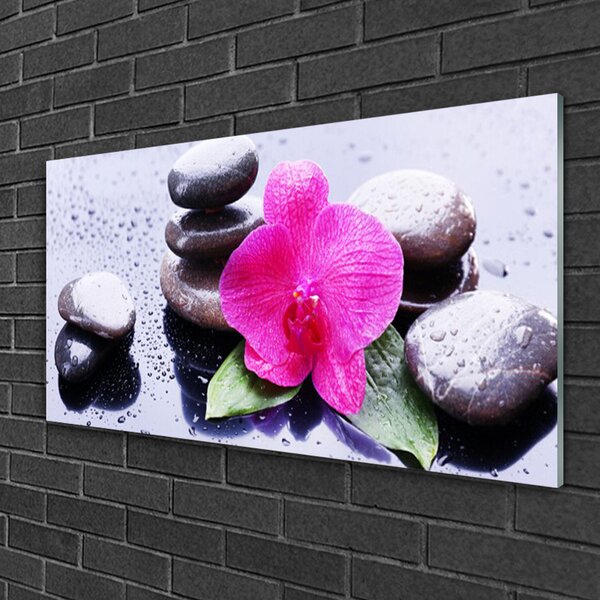 Skleneny obraz Kvet kamene umenie 100x50 cm 2 Prívesky