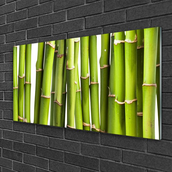 Skleneny obraz Bambus rastlina príroda 100x50 cm 2 Prívesky