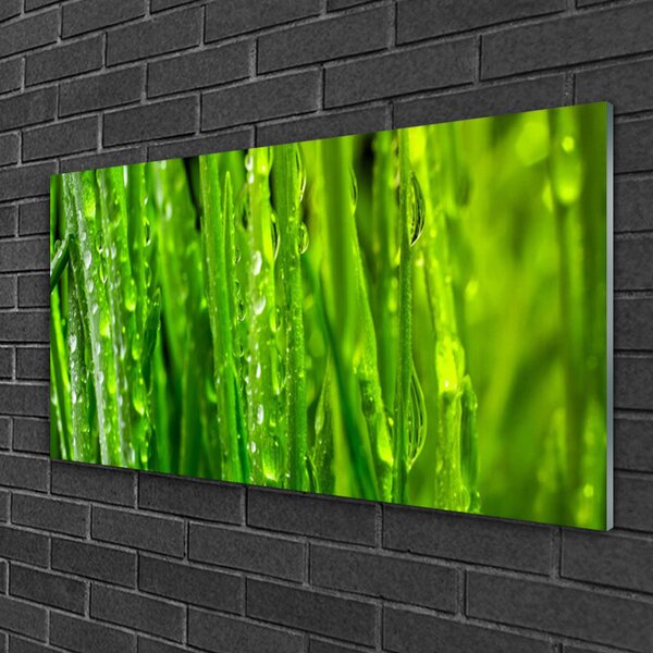 Skleneny obraz Tráva rastlina príroda 100x50 cm 2 Prívesky