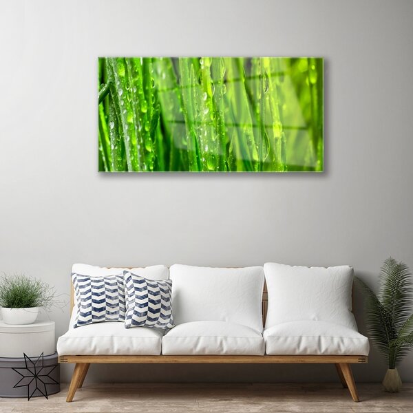 Skleneny obraz Tráva rastlina príroda 100x50 cm 2 Prívesky
