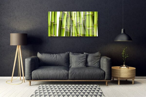 Skleneny obraz Bambus rastlina príroda 100x50 cm 2 Prívesky