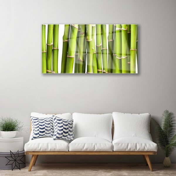 Skleneny obraz Bambus rastlina príroda 100x50 cm 2 Prívesky