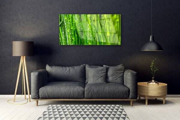 Skleneny obraz Tráva rastlina príroda 100x50 cm 2 Prívesky