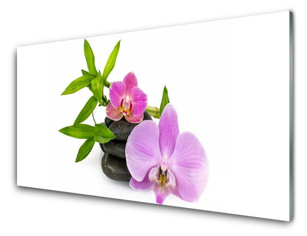 Skleneny obraz Kvet kamene rastlina 100x50 cm 2 Prívesky
