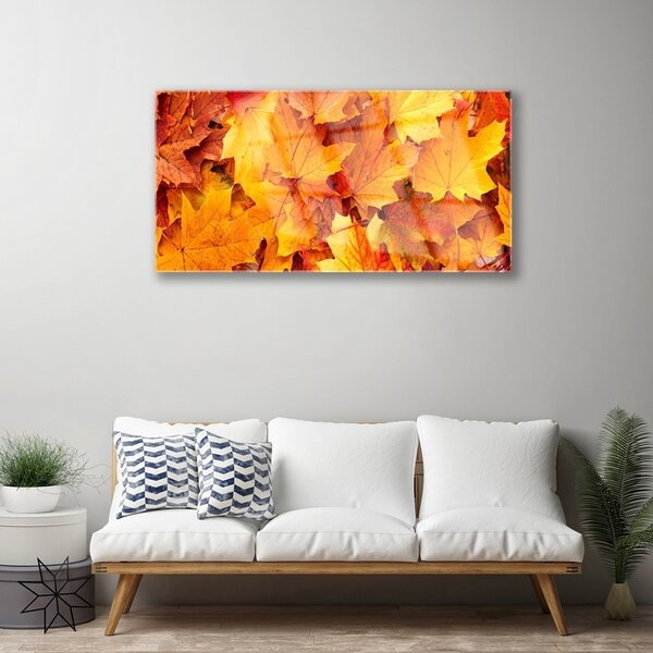Skleneny obraz Listy príroda rastlina 100x50 cm 2 Prívesky