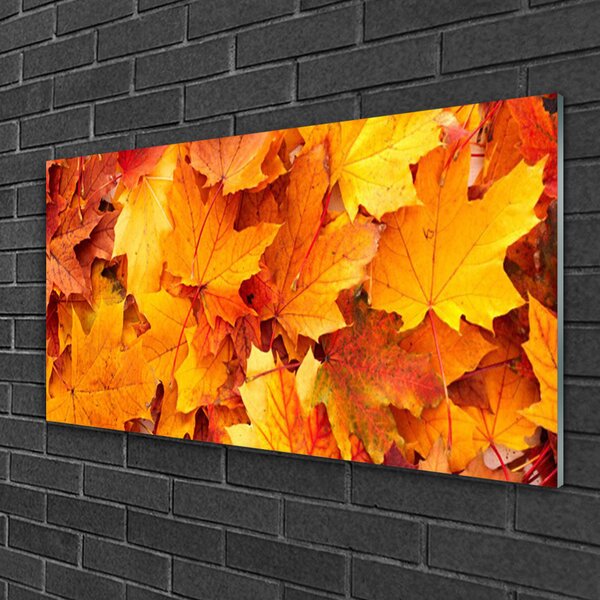 Skleneny obraz Listy príroda rastlina 100x50 cm 2 Prívesky