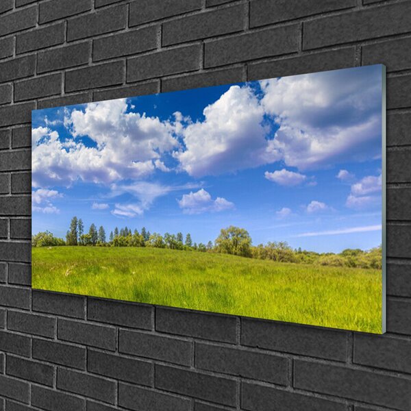 Skleneny obraz Lúka tráva nebo krajina 100x50 cm 2 Prívesky