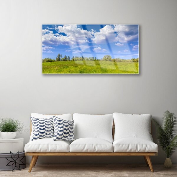 Skleneny obraz Lúka tráva nebo krajina 100x50 cm 2 Prívesky