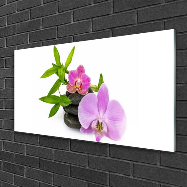 Skleneny obraz Kvet kamene rastlina 100x50 cm 2 Prívesky