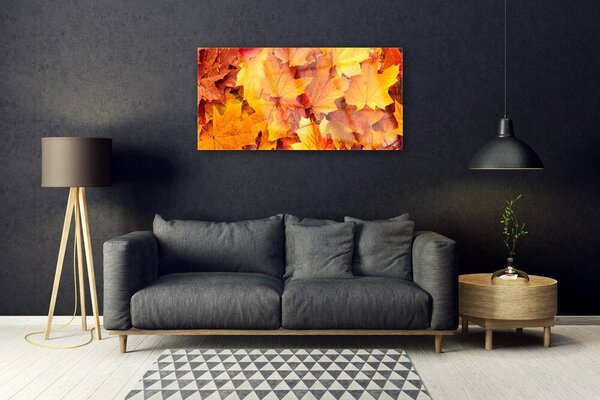 Skleneny obraz Listy príroda rastlina 100x50 cm 2 Prívesky