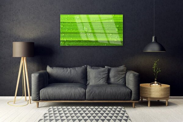 Skleneny obraz Tráva rastlina príroda 100x50 cm 2 Prívesky