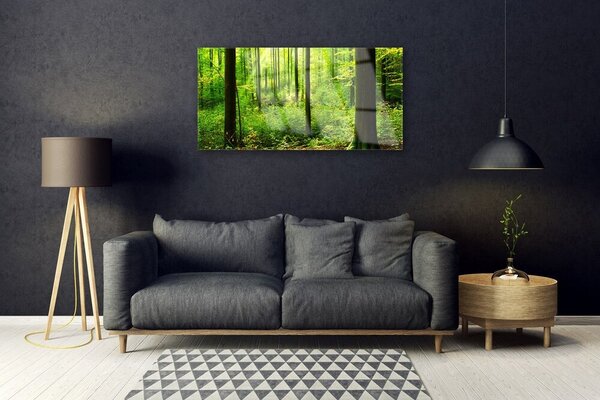 Skleneny obraz Les zeleň stromy príroda 100x50 cm 2 Prívesky
