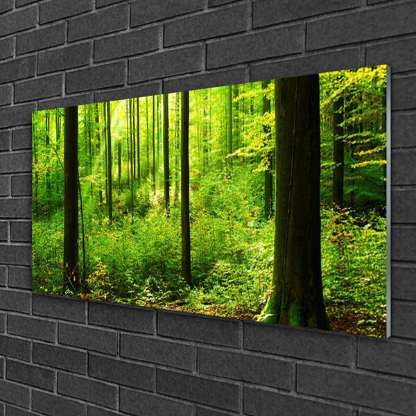 Skleneny obraz Les zeleň stromy príroda 100x50 cm 2 Prívesky