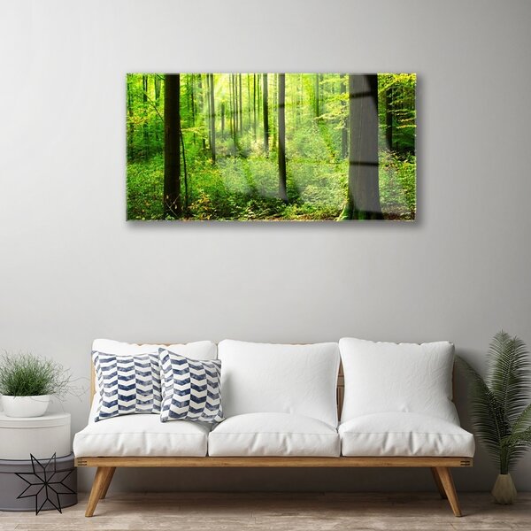 Skleneny obraz Les zeleň stromy príroda 100x50 cm 2 Prívesky