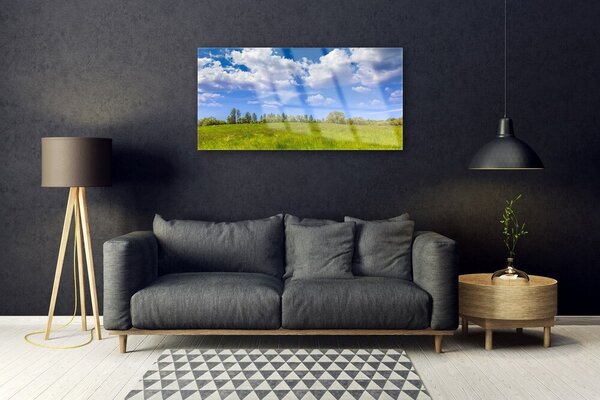 Skleneny obraz Lúka tráva nebo krajina 100x50 cm 2 Prívesky
