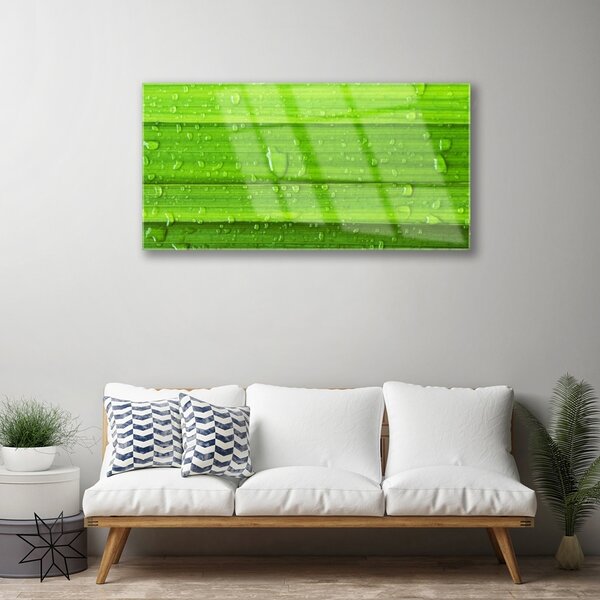 Skleneny obraz Tráva rastlina príroda 100x50 cm 2 Prívesky