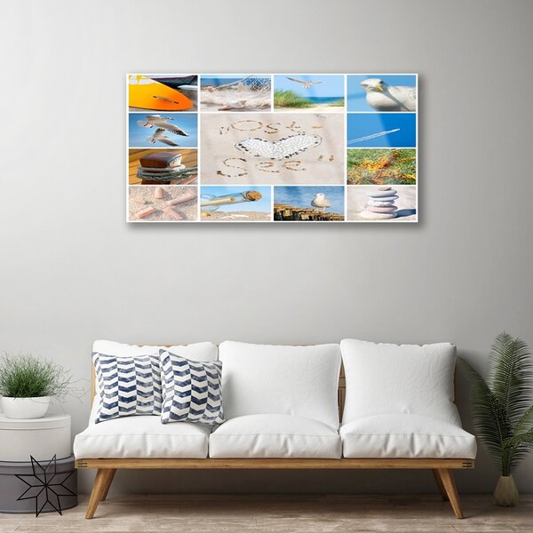 Skleneny obraz Oceán pláž čajky krajina 100x50 cm 2 Prívesky