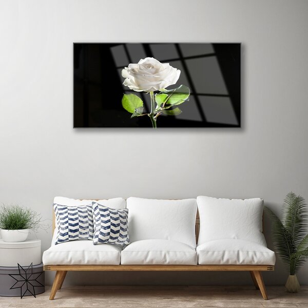 Skleneny obraz Ruže kvet rastlina 100x50 cm 2 Prívesky