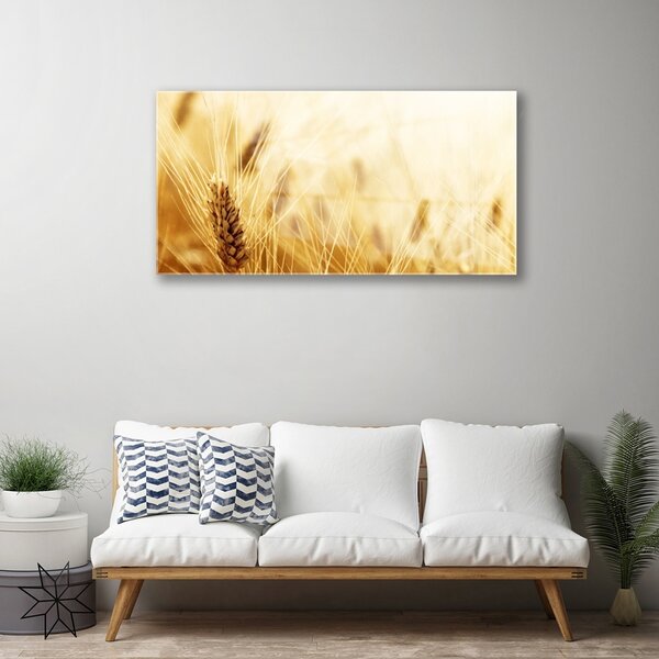 Skleneny obraz Pšenica rastlina príroda 100x50 cm 2 Prívesky