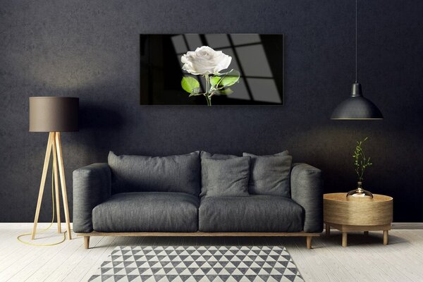 Skleneny obraz Ruže kvet rastlina 100x50 cm 2 Prívesky