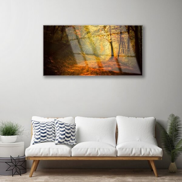 Skleneny obraz Les cestička stromy príroda 100x50 cm 2 Prívesky