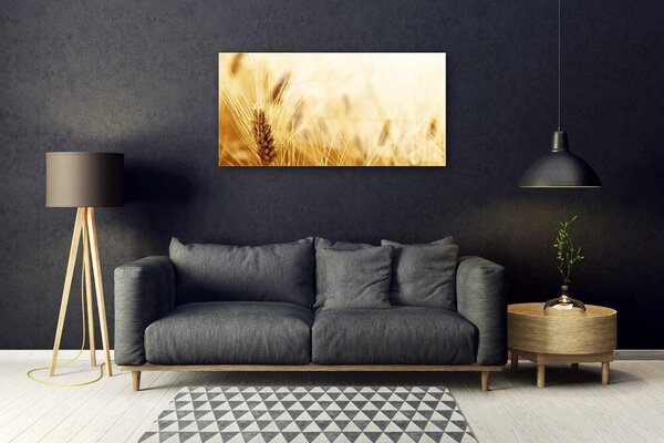 Skleneny obraz Pšenica rastlina príroda 100x50 cm 2 Prívesky