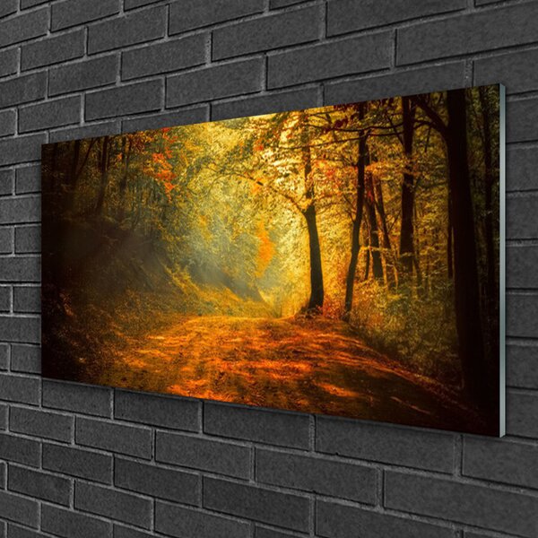 Skleneny obraz Les cestička stromy príroda 100x50 cm 2 Prívesky