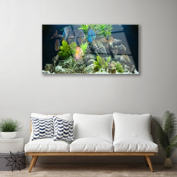 Skleneny obraz Ryba kamene listy príroda 100x50 cm 2 Prívesky