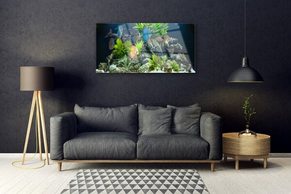 Skleneny obraz Ryba kamene listy príroda 100x50 cm 2 Prívesky