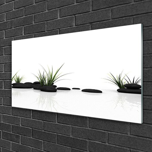 Skleneny obraz Tráva kamene umenie 100x50 cm 2 Prívesky