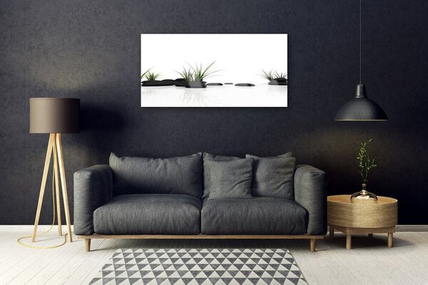 Skleneny obraz Tráva kamene umenie 100x50 cm 2 Prívesky