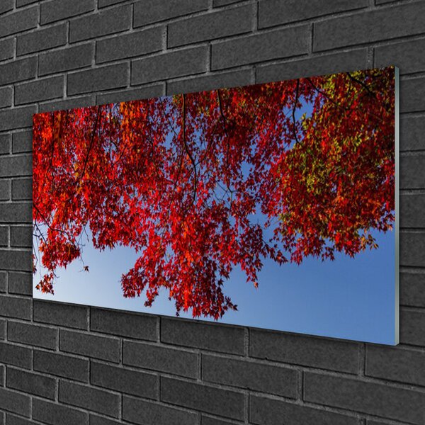 Skleneny obraz Strom listy vetvy príroda 100x50 cm 2 Prívesky