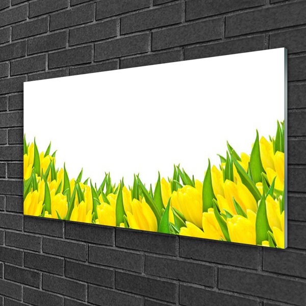 Skleneny obraz Kvety príroda tulipány 100x50 cm 2 Prívesky