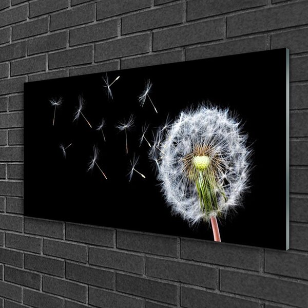 Skleneny obraz Púpavy kvety príroda 100x50 cm 2 Prívesky