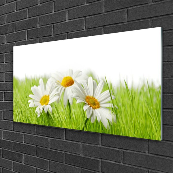 Skleneny obraz Sedmokráska kvety rastlina 100x50 cm 2 Prívesky