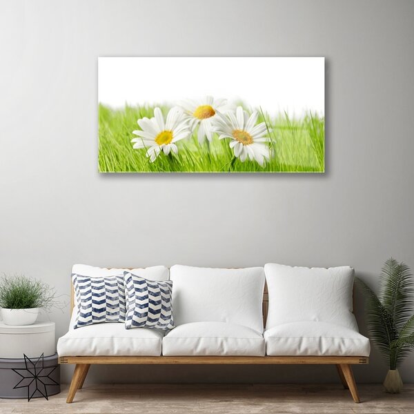 Skleneny obraz Sedmokráska kvety rastlina 100x50 cm 2 Prívesky