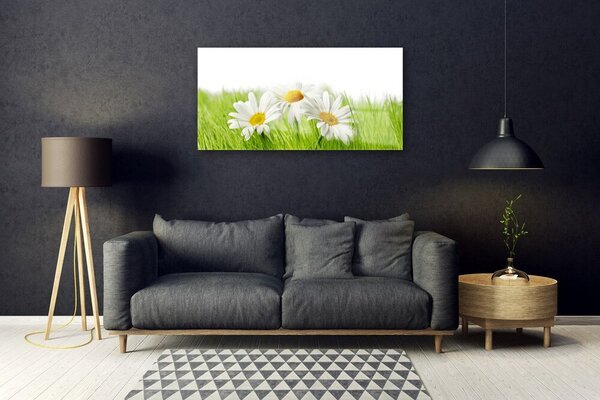 Skleneny obraz Sedmokráska kvety rastlina 100x50 cm 2 Prívesky
